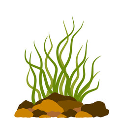 aquarium seaweed vector