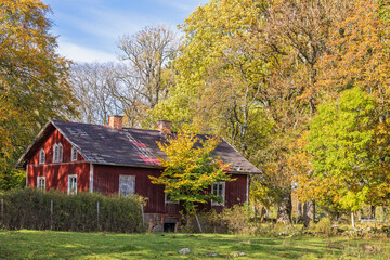 Fototapeta premium Deserted old cottage in a deciduous forest at autumn