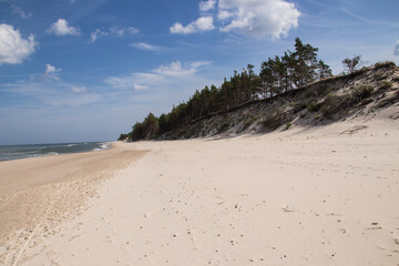 wycieczka po wydmie czołpińskiej © Krzysztof