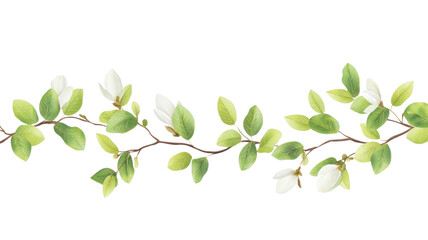 Obraz premium Delicate White Flowers and Green Leaves Illustration on transparent background