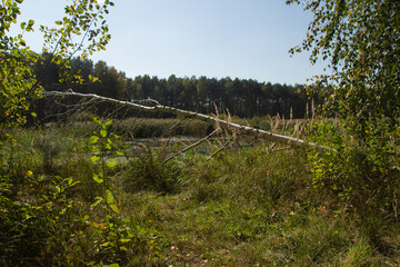 Krajobraz wokół Zalewu Sulejowskiego © Krzysztof