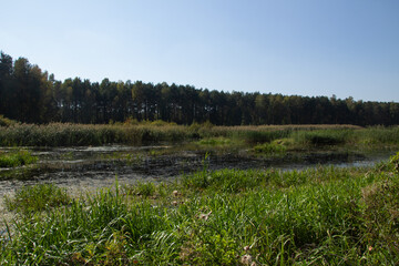 Krajobraz wokół Zalewu Sulejowskiego © Krzysztof