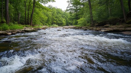 Fototapeta premium A river with a lot of water flowing through it