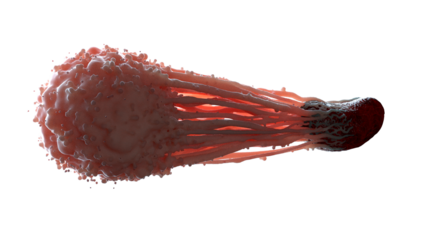 Macrophages feeding on bacterium under microscope