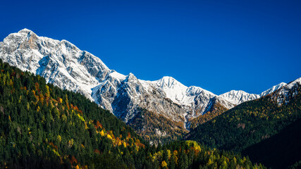 Autumn light on the Carnic Alps. Monte Coglians, Forni Avoltri and its colorful woods