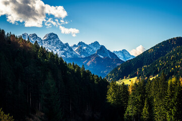 Fototapeta premium Autumn light on the Carnic Alps. Monte Coglians, Forni Avoltri and its colorful woods