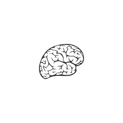 Brain icon isolated on transparent background