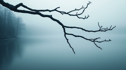 Bare Tree Branch Over Misty Lake: Serene and Minimalist Winter Scene