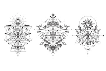 Fototapeta premium Collection of black and white mystical compositions with moths, animals, plants, elements of astrology and sacred geometry.