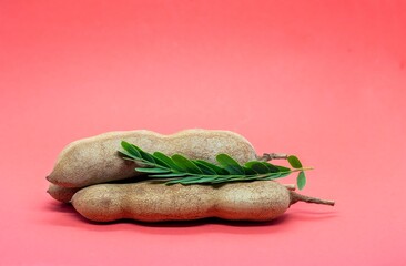 Closeup of Ripe Tamarind or Imli with Green Leaves Isolated on Red Background with Copy Space