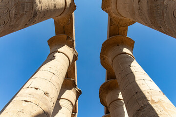 The enigmatic forest of papyrus-shaped columns that stands in the Temple of Luxor. These slender...