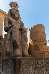 Step into the grandeur of Ramses II's court, adorned with 74 towering papyriform columns. This magnificent colonnade at the Temple of Luxor is a testament to ancient Egypt's architectural prowess.