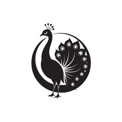 Fototapeta premium Silhouette peacock with asymmetrical plumage