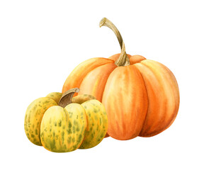 Fall pumpkins in orange and yellow colors watercolor illustration isolated on white. Hand drawn realistic autumn harvest gourds for Thanksgiving day greeting cards. October vegetables artistic drawing