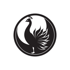 Silhouette peacock with asymmetrical plumage