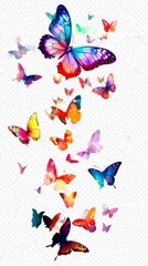 colorful butterflies flying upwards photograph transparent background 