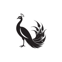 Fototapeta premium Silhouette peacock with asymmetrical plumage