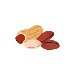 Cartoon peanut. Nuts in shell and peeled pieces. Healthy food. Diet snack. Organic vegetarian element. Whole and half. Natural plant ingredient packaging design, Vector isolated illustration