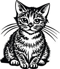 Fototapeta premium black and white cat vector