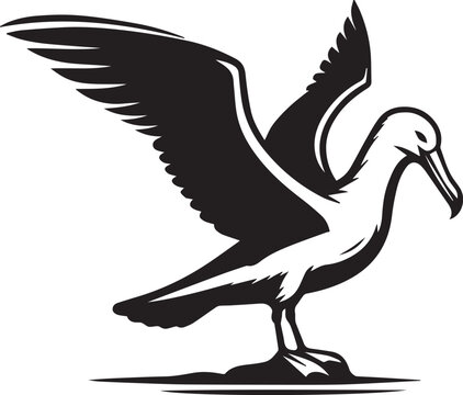 recommend clip art: black albatross silhouette vector, albatross logo Vector.
