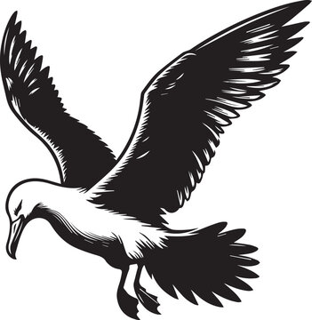 recommend clip art: black albatross silhouette vector, albatross logo Vector.