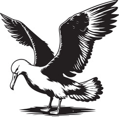 black albatross silhouette vector, albatross logo Vector.