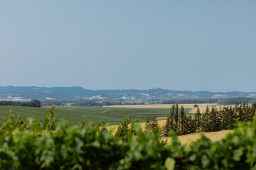 Expansive landscape of green fields, trees, and distant mountains under a clear sky