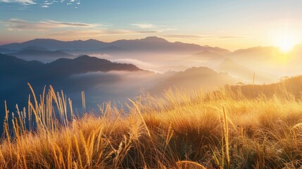 Fototapeta premium View of mountains with golden grass through fog at sunrise