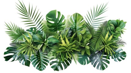 Tropical Foliage Plant Arrangement on White Background