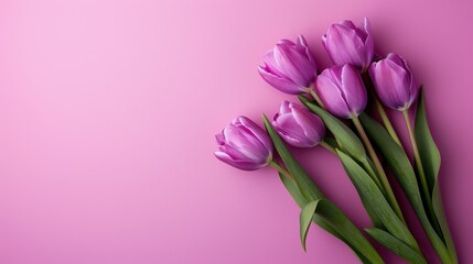 Versatile Purple Tulip Bouquet for Women s Day and Mother s Day Celebration with Copy Space