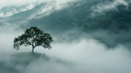 Fototapeta premium Tree covered in fog among the mountains