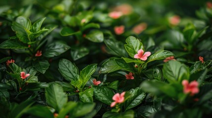 Obraz premium Tiny pink and red blooms in lush greenery Spring flora Nature s backdrop