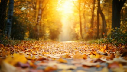 A Journey Through Autumn&rsquo;s Beauty