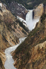 Obraz premium Waterfall of Grand Canyon in Yellowstone National Park