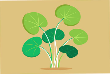 Nice water Pennywort plant vector art illustration