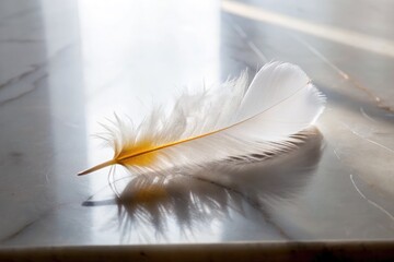 Delicate feather resting on a smooth marble surface.
