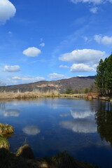 reflection in the lake