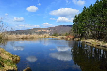 reflection in the lake