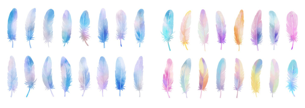 カラフル羽根イラストセット