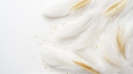 Feathers with shimmering gold glitter adorn a pristine white background, capturing the essence of elegance. This flat lay arrangement, viewed from above