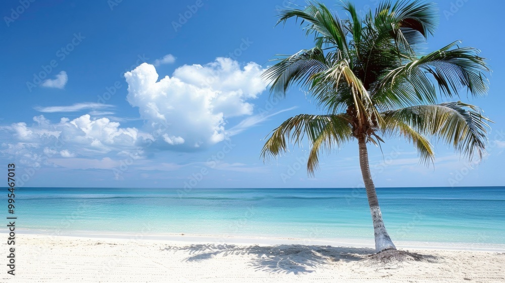 Wall mural palm tree on the tropical beach