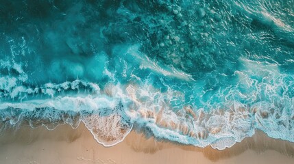 Fototapeta premium Ocean Shoreline as Background