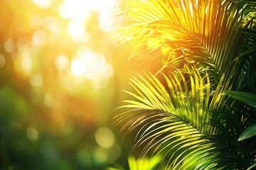 Obraz premium Sunlit Palm Frond with Blurred Green Background