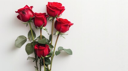 Red roses bouquet on white background
