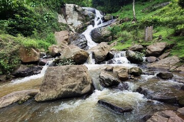 Beautiful of river stream waterfall in forest landscape