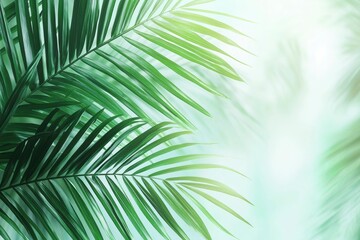 Obraz premium Lush Green Palm Fronds Against a Soft Blurred Background
