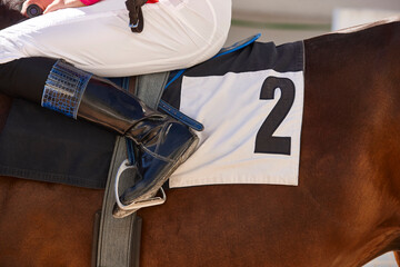 Race horse with jockey detail. Purebred in the hippodrome. Turf