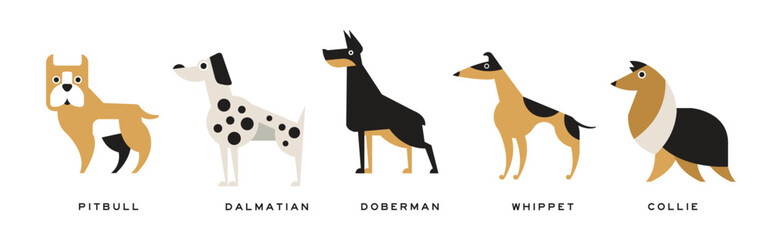 Different Dog Breed Flat Icon and Pictogram with Inscription Vector Set