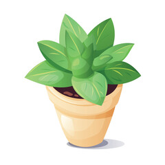 House plant in a pot. Bright flower. Vector illustration in cartoon style on a white background.