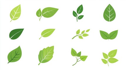 Green leaf icon set for natural, eco, vegan, and bio labels. 